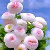 nomoresnow59